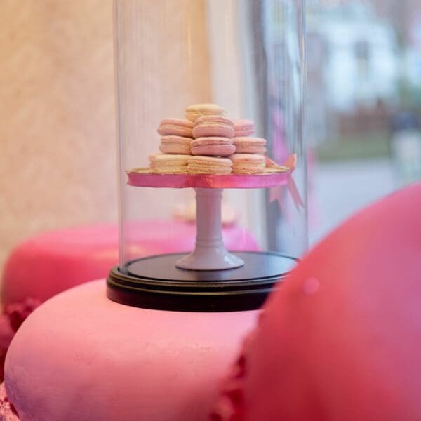 Macaron Workshop vanaf 8 personen